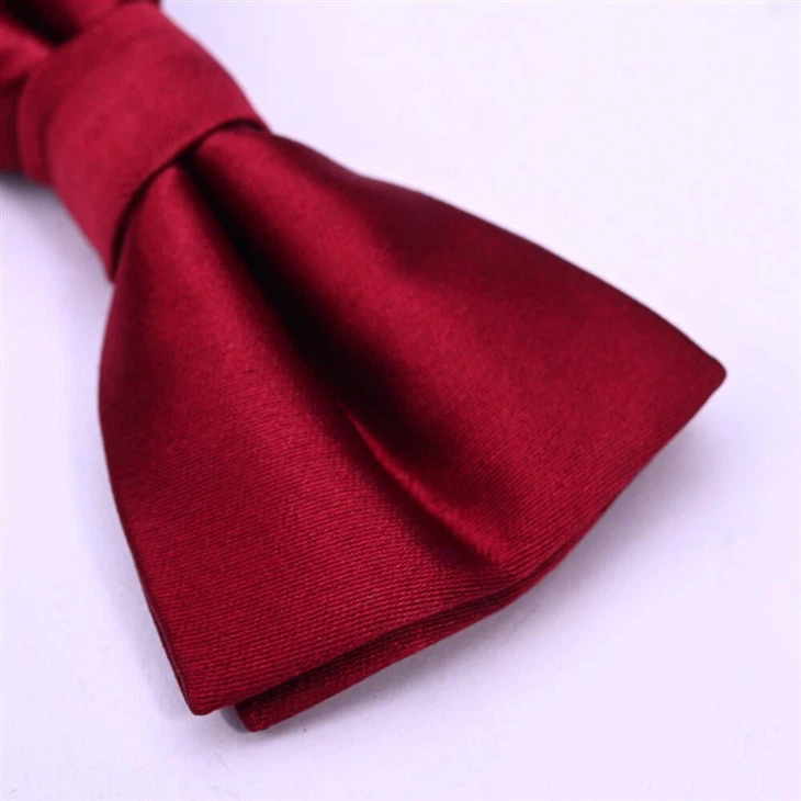 Polyester Bow Tie With Satin Finish